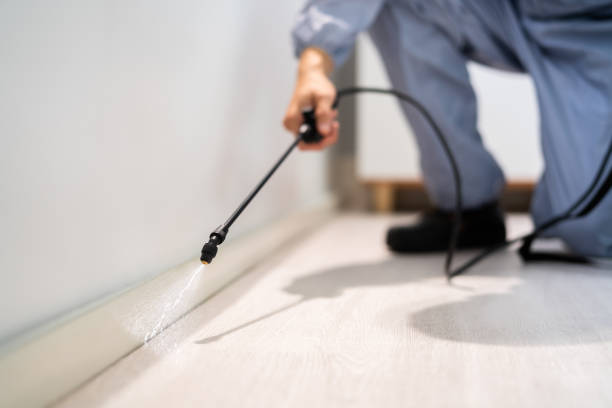 Licensed Fumigation Services service in Washita County County, OK - Nex Pest Control