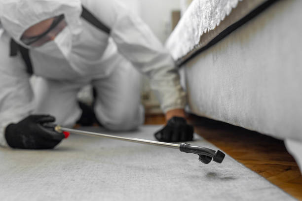 Professional Fumigation Services technician working in Washita County County, OK